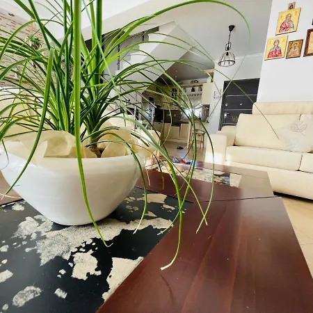 D & J Luxury House