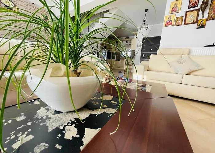 D & J Luxury House